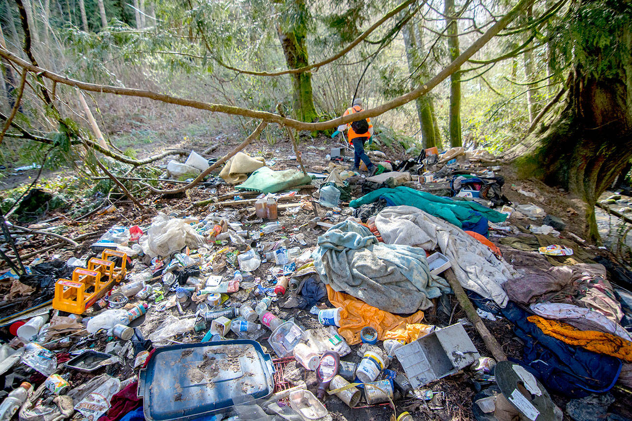 Volunteers clean an abandoned homeless encampment along Valley Creek in Port Angeles on March 18. (Jesse Major/Peninsula Daily News)