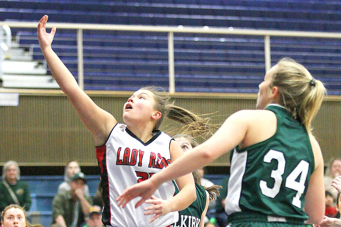 ALL-PENINSULA GIRLS BASKETBALL TEAM: Banner year for area players and teams