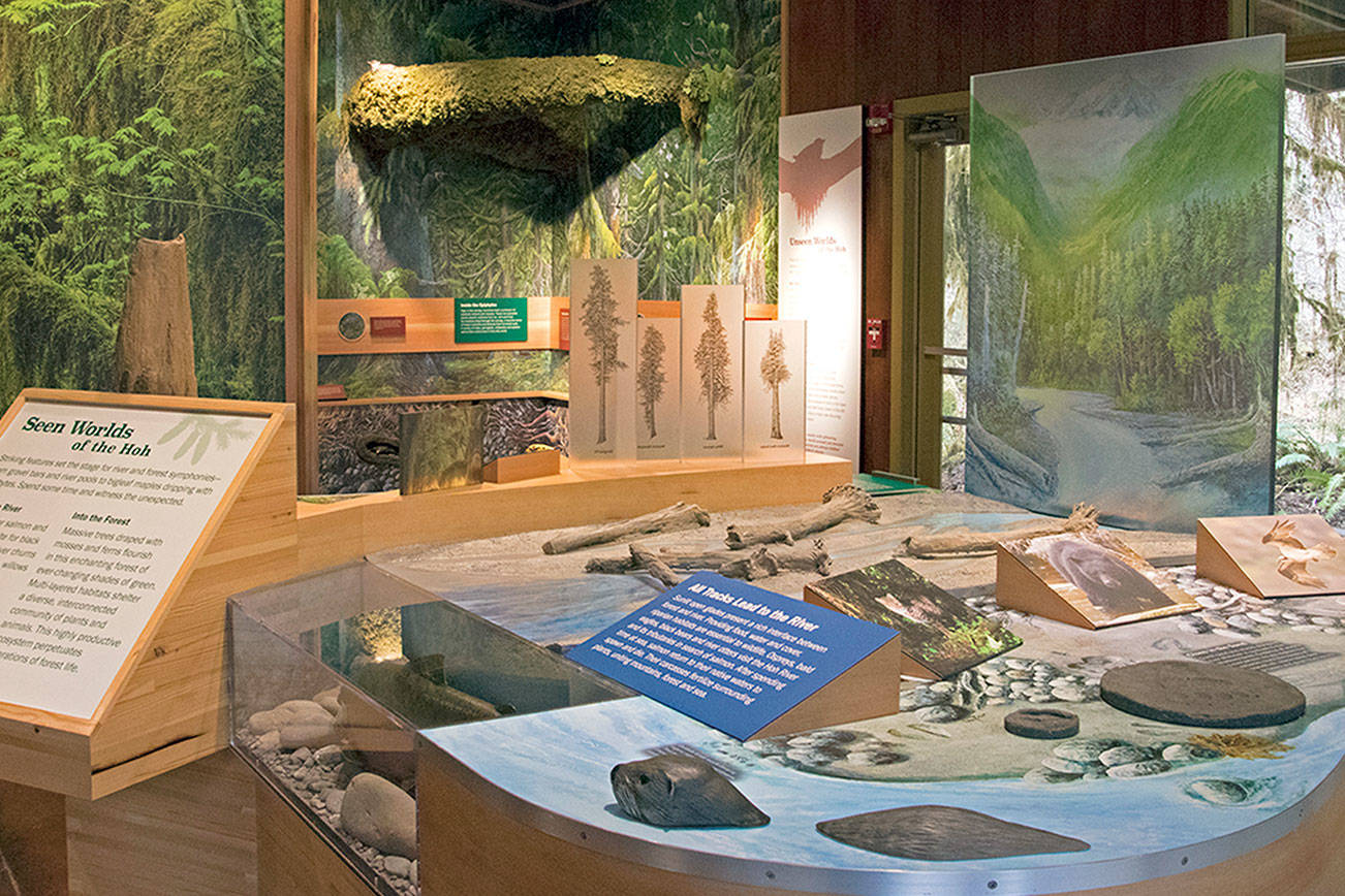 New exhibits added to Hoh Rain Forest Visitor Center