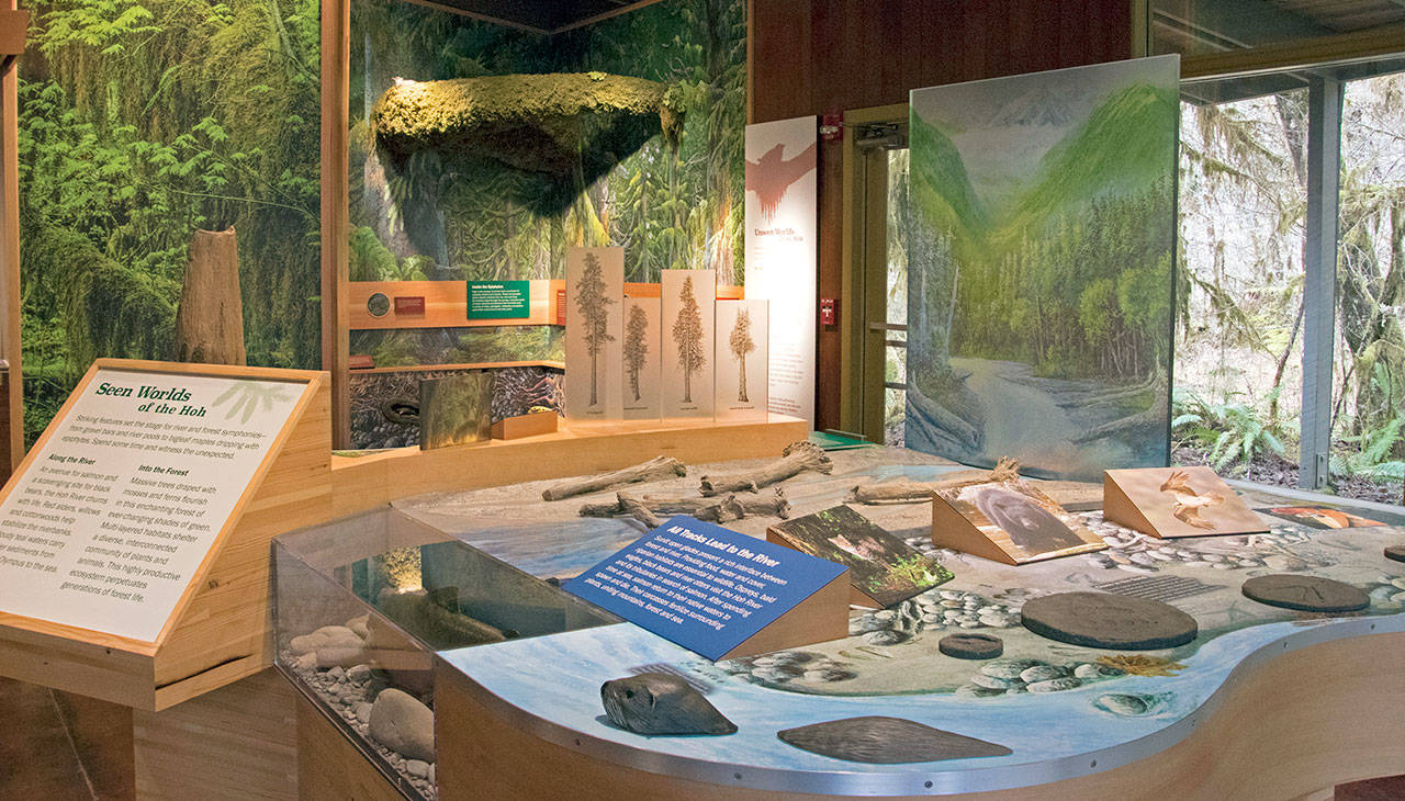 New exhibits will be unveiled Friday at the Hoh Rain Forest Visitor Center.