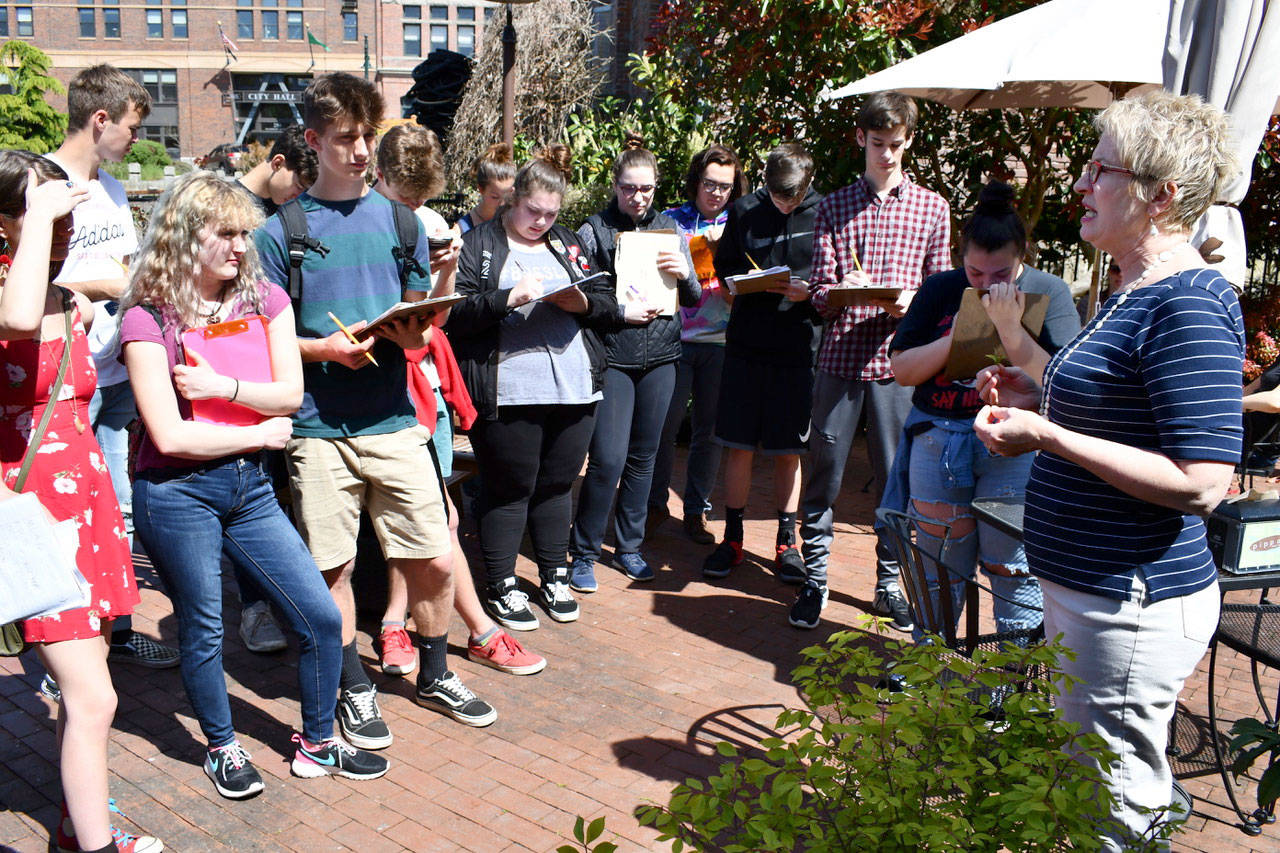Port Townsend High School juniors hear a brief history of tea from Pippa Mills on the patio of her shop, Pippa’s Real Tea. The students are writing a narrative non-fiction work as an assignment, with tea as the inspiration. (Jeannie McMacken/Peninsula Daily News)
