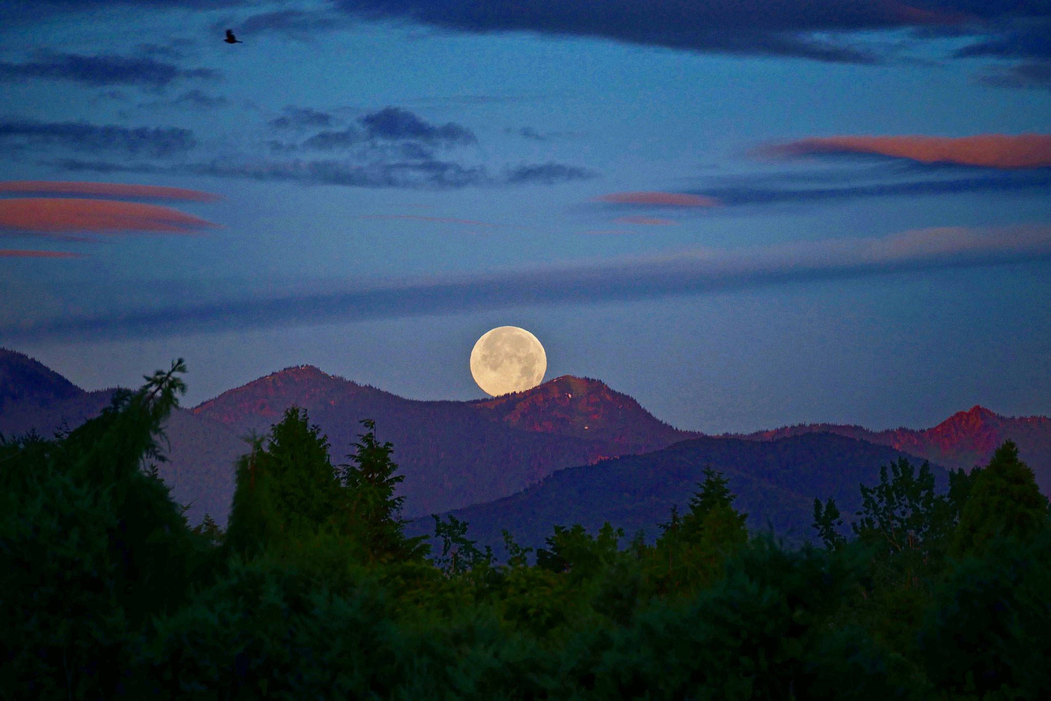 The Dungeness River Audubon Center launches a new speaker series “Learn by the Light of the Moon” starting at 7 p.m. Sunday, April 29, and will hold a discussion each full moon of the month through Oct. 24. Photo courtesy of Mike DeMarco.