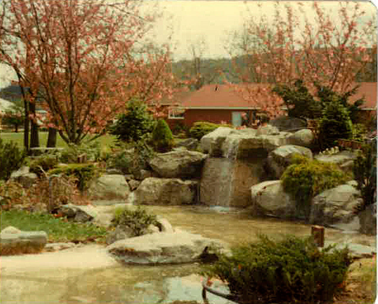 The fountain at Pioneer Memorial Park flowed freely from 1965 until sometime around 1990, when numerous mechanical and maintenance issues encouraged the city of Sequim to shut it down and cement it over. (Sequim Prairie Garden Club)