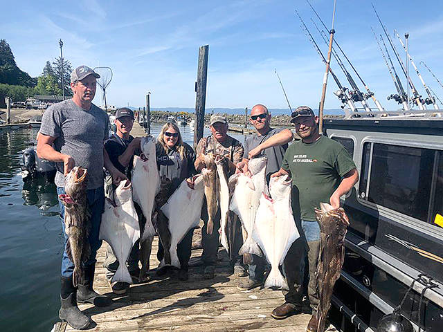 Mason’s Resort The Orestad family fished out of Mason’s Resort at Sekiu and found success with halibut and lingcod during the recreational halibut opener last weekend.