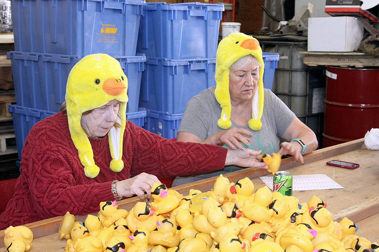 Duck Derby races this Sunday