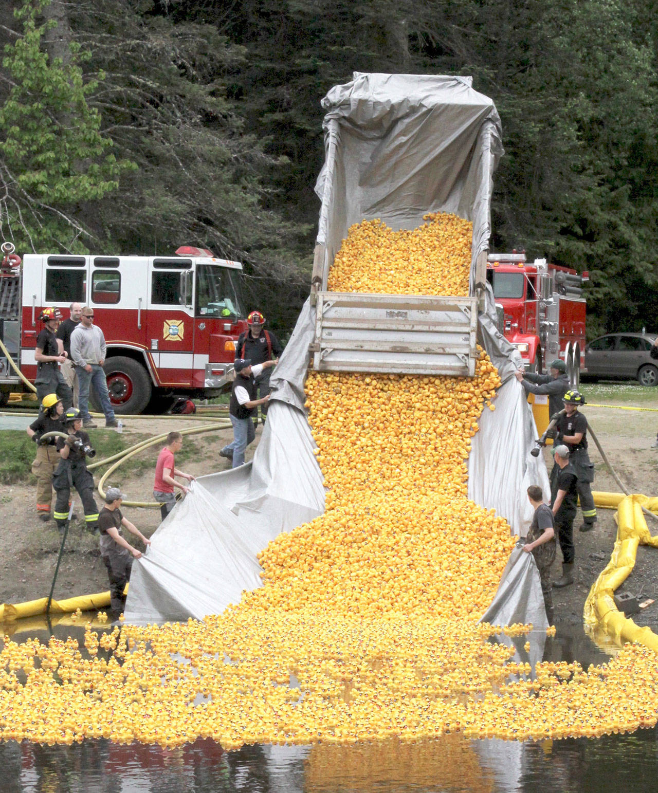 More than 30,000 little yellow ducks are sent on their way Sunday at Lincoln Park in Port Angeles. (Dave Logan/for Peninsula Daily News)