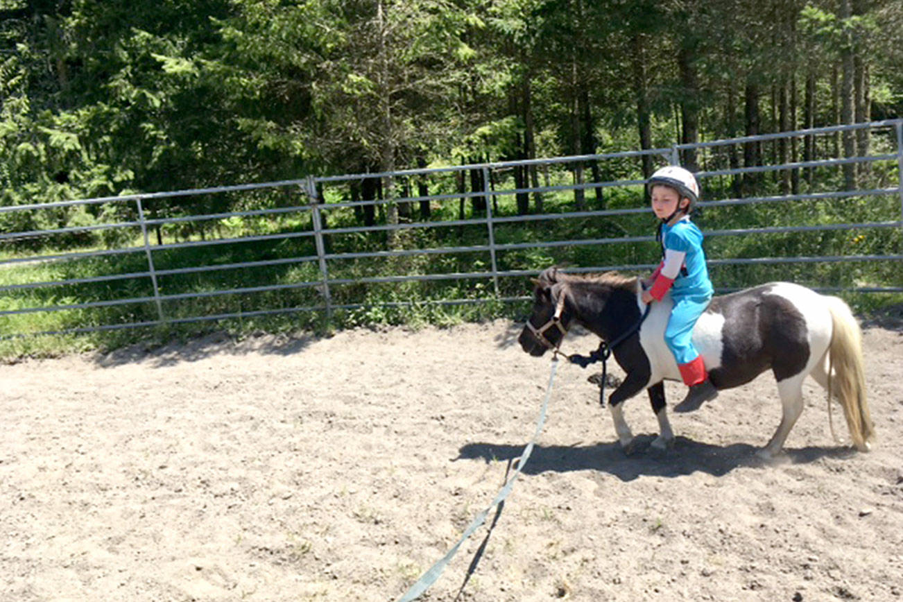 HORSEPLAY: New miniature horse helps build child’s confidence