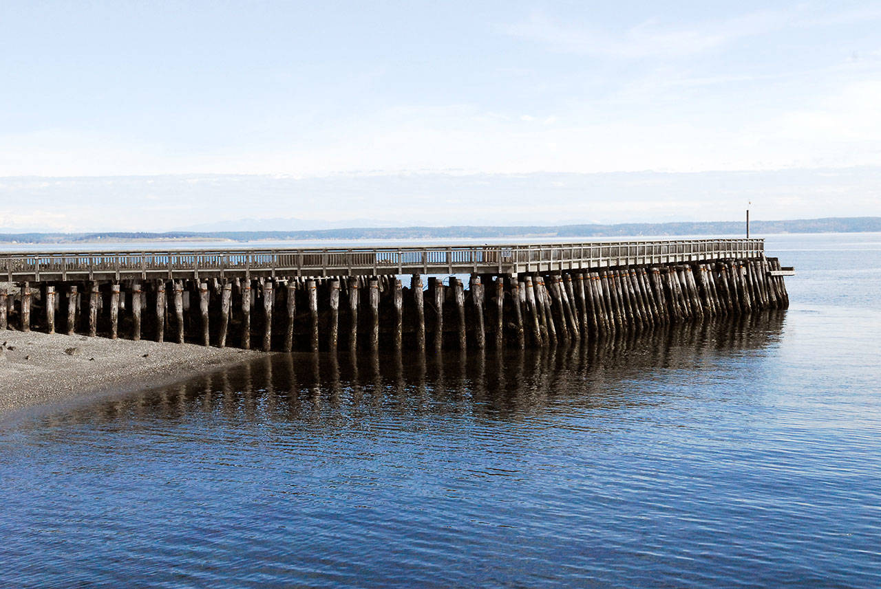 The Port of Port Townsend commissioners voted 2-1 to reject all bids for the South Jetty Breakwater Project. They voted to suspend the project, citing lack of funds to pay for the jetty and the port’s overall financial condition. (Jeannie McMacken/Peninsula Daily News)