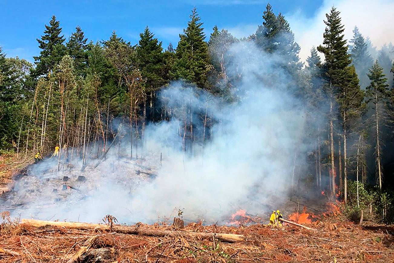 Brush fire breaks out on Cape George Road near Port Townsend
