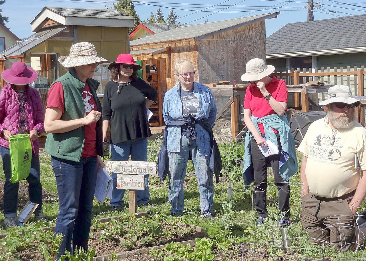 In May, Master Gardener Laurel Moulton points out the multiple benefits of mulching to participants at the May garden walk.