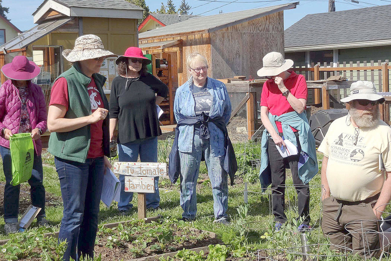 Get tips on tomatoes, veggies at ‘Second Saturday’ walk