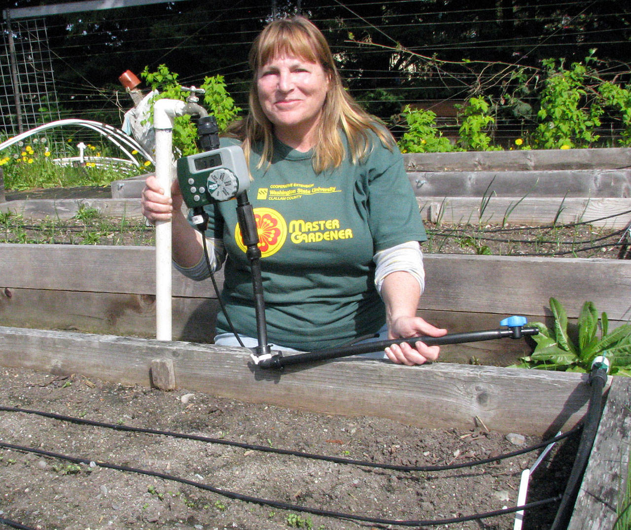 Master Gardener Susan Kalmar will present “Drip Irrigation in a Day” Thursday in the county commissioners meeting room of the Clallam County Courthouse, 223 E. Fourth St. (Amanda Rosenberg)