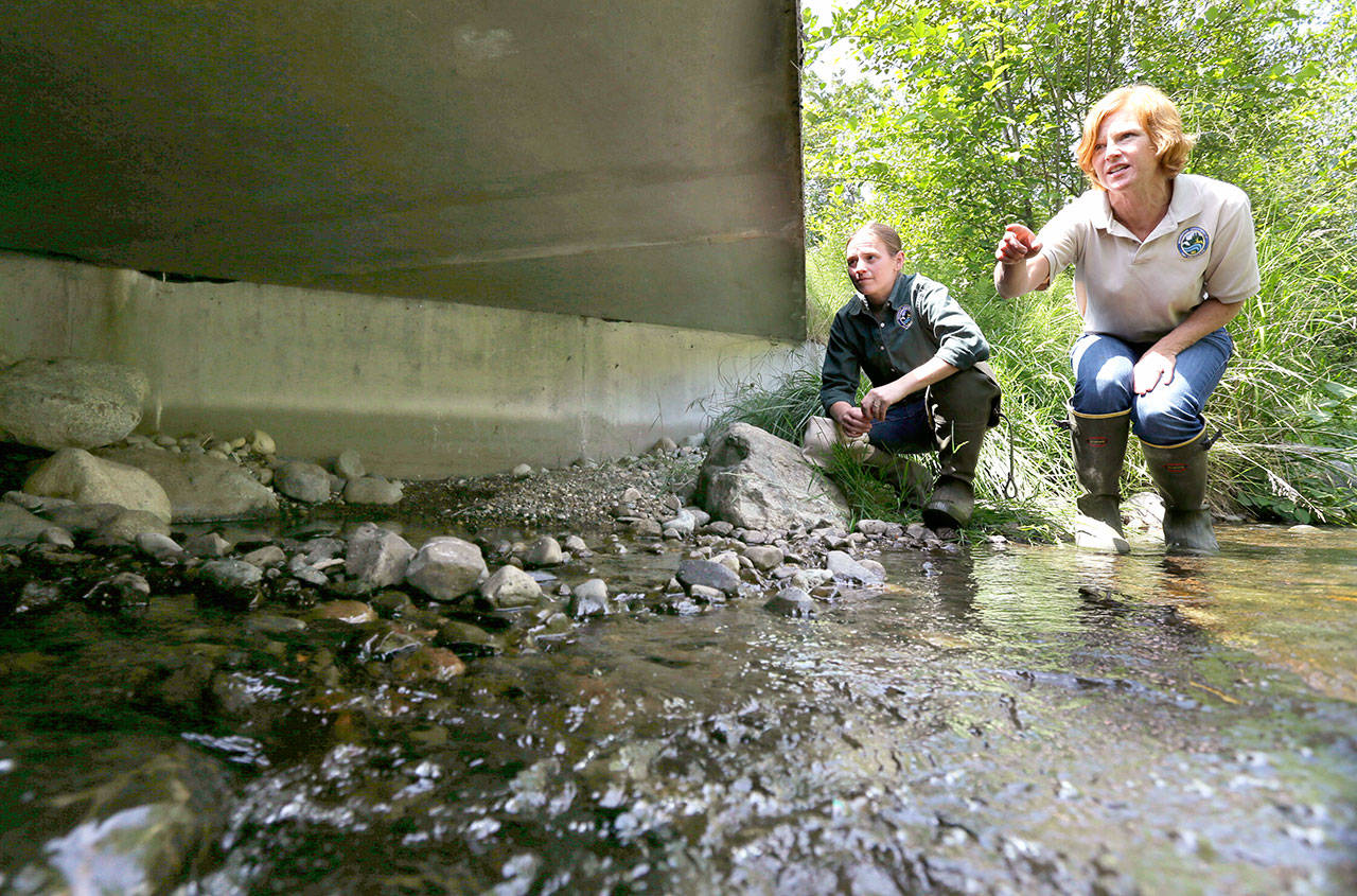 Julie Henning, right, division manager of the Washington Department of Fish and Wildlife ecosystem services division habitat program, and Melissa Erkel, left, a fish passage biologist, look at a wide passageway for the north fork of Newaukum Creek near Enumclaw. The Supreme Court is leaving in place a court order that forces Washington to restore salmon habitat by removing barriers that block fish migration. The justices divided 4-4 Monday in the long-running dispute that pits the state against Indian tribes and the federal government. (AP Photo/Ted S. Warren, file)