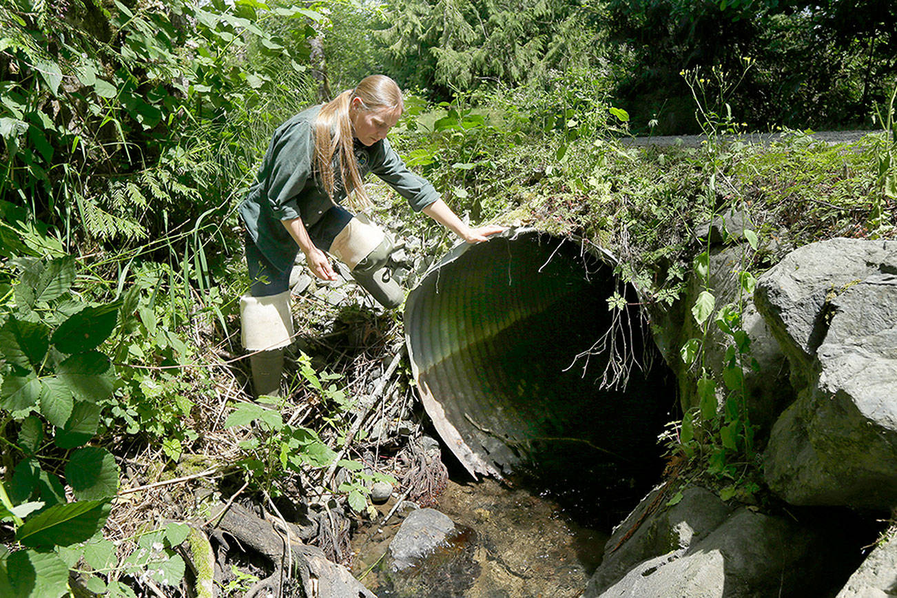 U.S. Supreme Court tie favors state culvert replacement