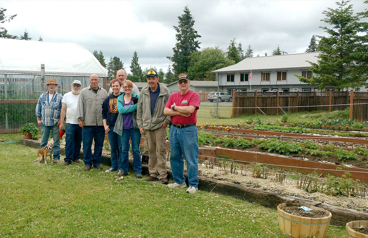 A work crew from Sarge’s Farmstand takes a break from various tasks. The workers are, from left, Bob Ball, Jay Baker holding the leash of Kindelle, David Durnford, Steve Boutelle, William Fleck, Cheri Tinker holding hen Tina, Steve Elmelund and Paul Hampton. Jennifer Pelikan, the “chicken whisperer” and case manager for Sarge’s Place, was away for the moment. (Zorina Barker/for Peninsula Daily News)
