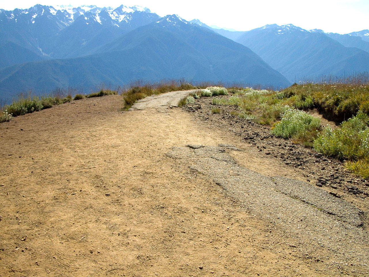 Olympic National Park will begin a rehabilitation project on Hurricane Hill Trail, a popular hike 1.6-mile hiketo the top of Hurricane Hill, on Monday with trail closures planned on a rotating basis over the summer. (Olympic National Park)
