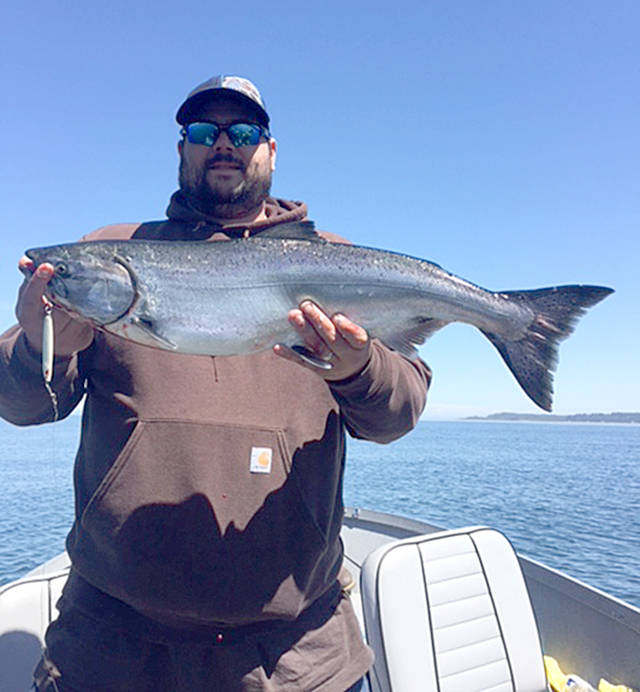 For over three years, Woodinville’s John Watkins has tried to catch a legal-sized hatchery chinook. He succeeded Tuesday, catching this mid-teen’s king while jigging with an all-glow 1-ounce Kandlefish jig at Freshwater Bay.