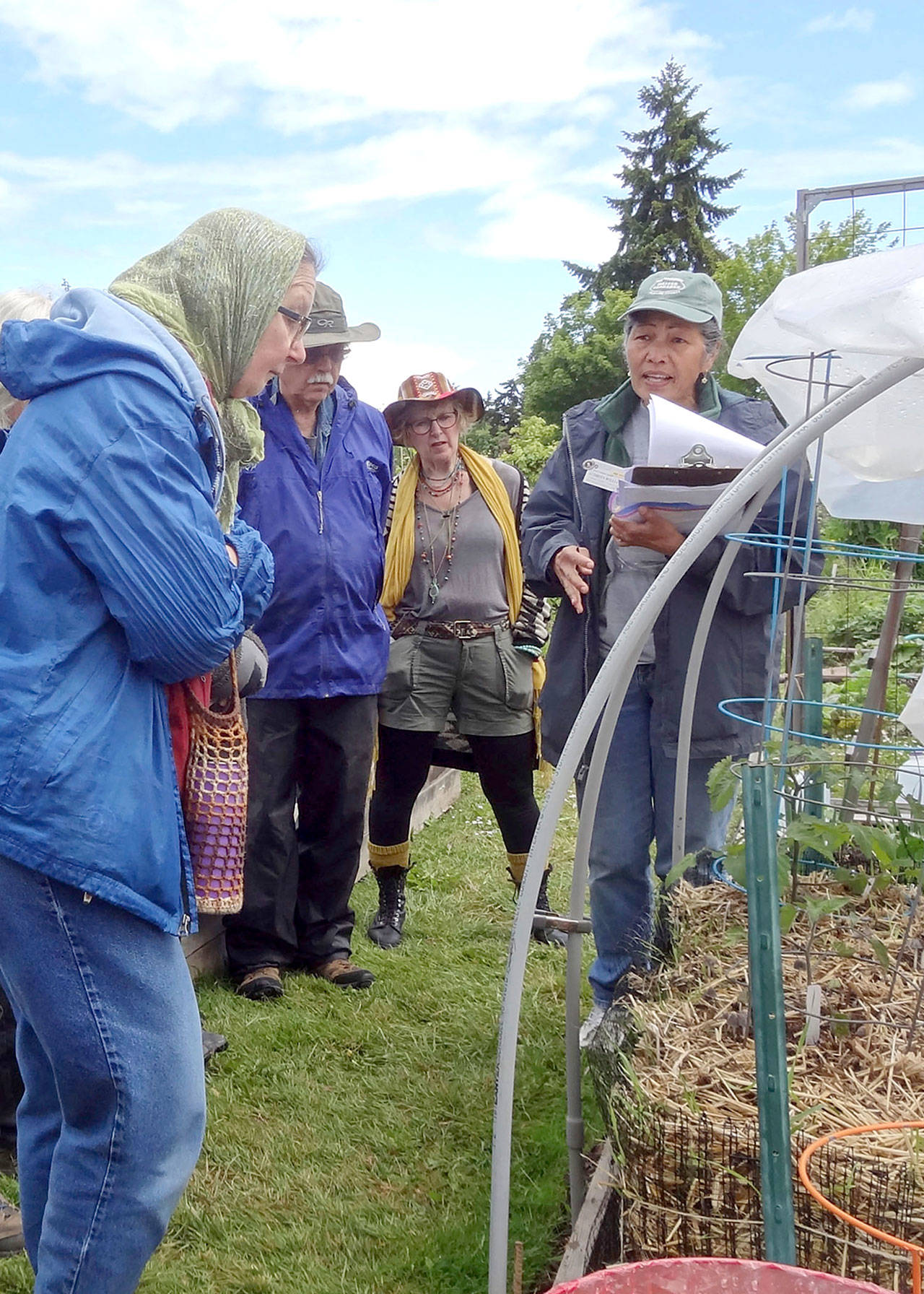 WSU Extension Master Gardeners will host an informative walk around the Fifth Street Community Garden on Saturday. (WSU Master Gardeners)
