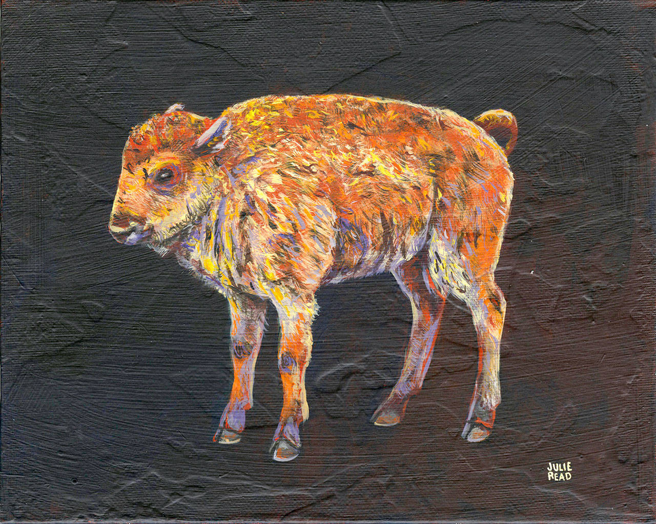 “Tatanka the buffalo,” a painting by Julie Read will be displayed as part of an exhibit Saturday to benefit Center Valley Animal Rescue in Quilcene.