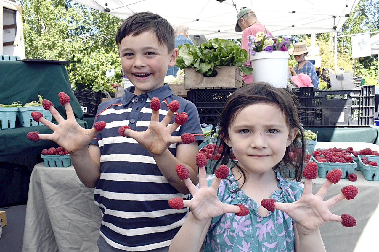 PHOTO: Finger fruit at Jefferson County Farmers Market