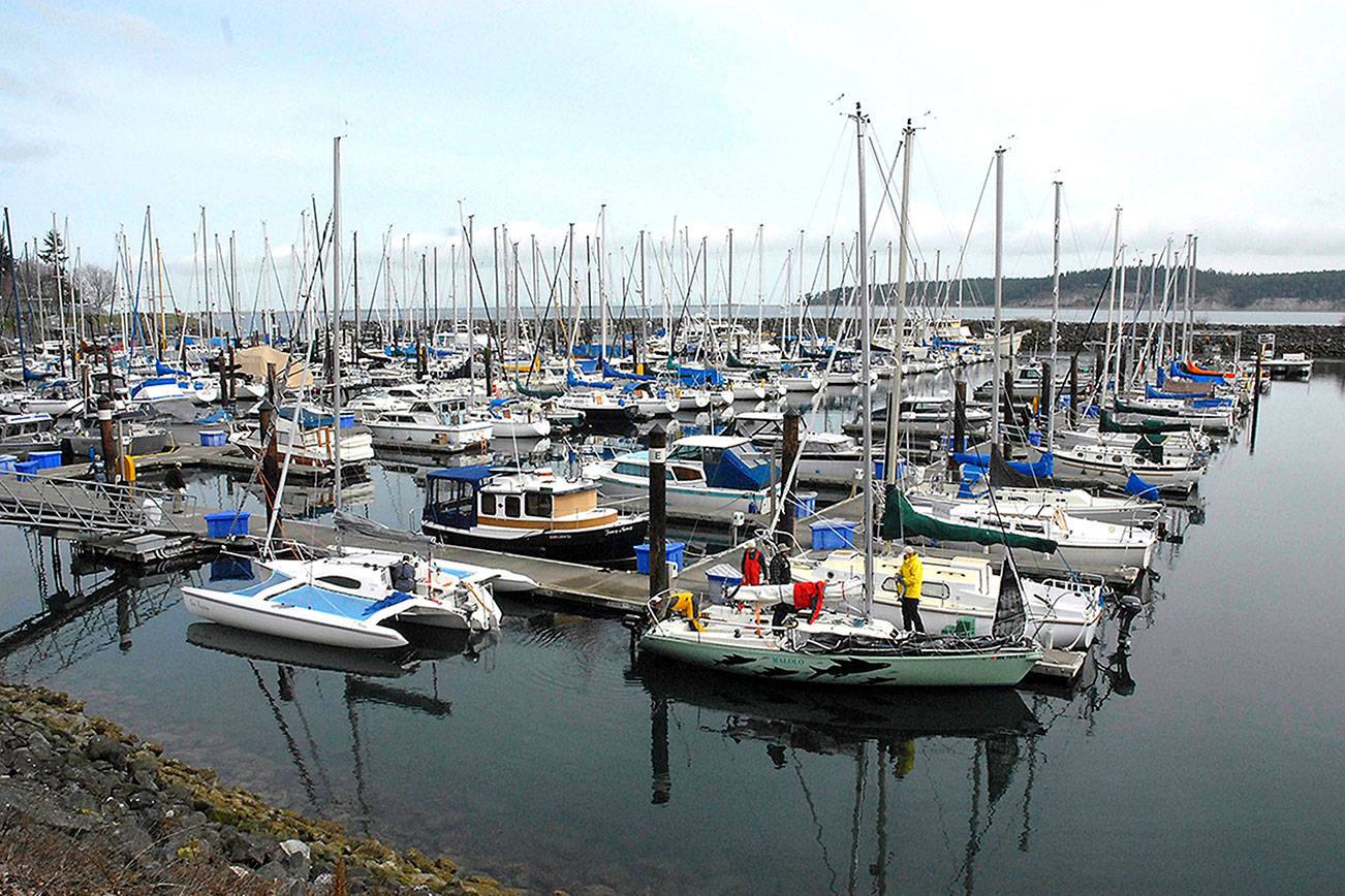 Port officials limit choices for marina: Sale to private developer, levy no longer options