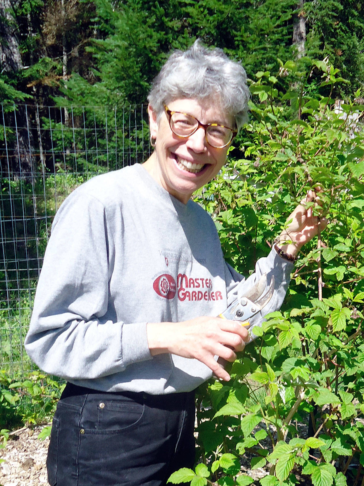Veteran Master Gardener Jeanette Stehr-Green will present, “Brambling Along: Growing Raspberries and Blackberries,” from noon to 1 p.m. Thursday. (Jeanette Stehr-Green)