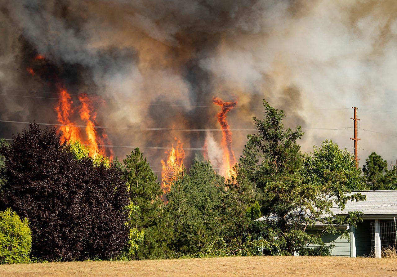 Trees burn near a home Tuesday in Spokane. (Colin Mulvany/The Spokesman-Review via AP)