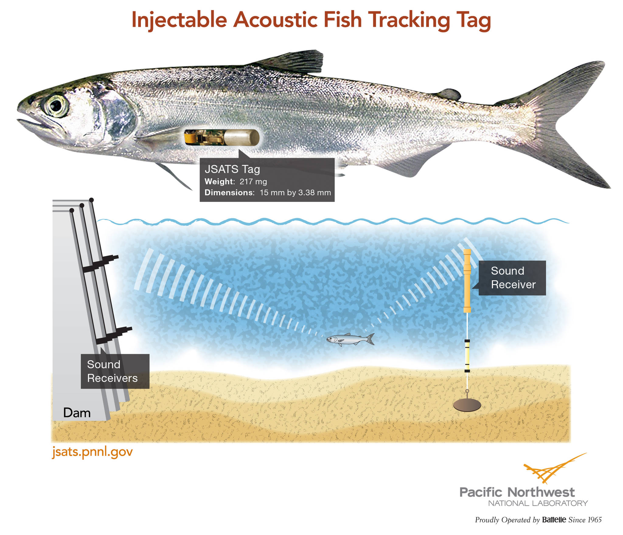 Photo courtesy of PNNL                                Scientists in Sequim’s Marine Sciences Laboratory with Pacific Northwest National Laboratory plan to monitor fish with an injectable acoustic fish tracking tag around a tidal turbine (similarly to a dam pictured) to see how they react to the machinery with the aim to better protect them.