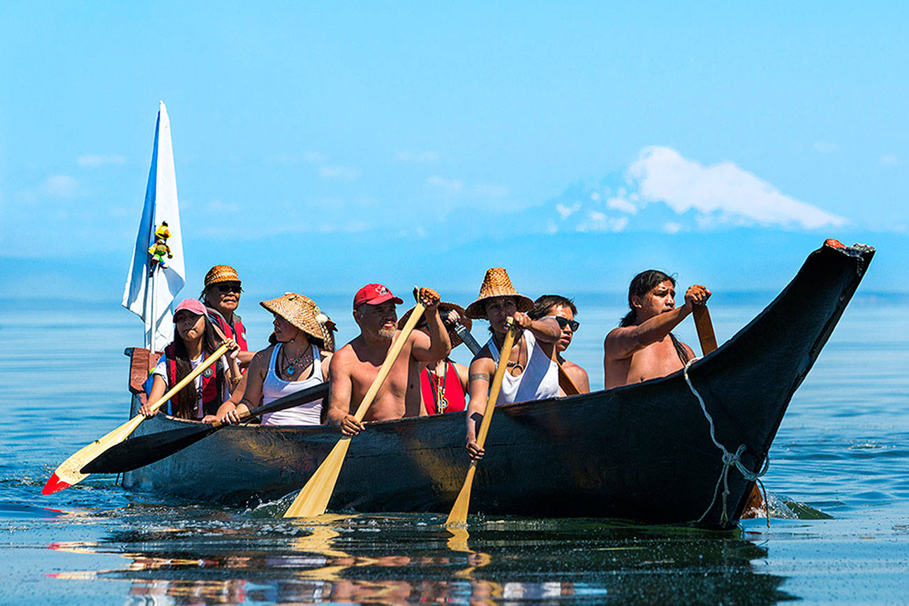 PHOTO: Pullers arrive at Jamestown amid Paddle to Puyallup