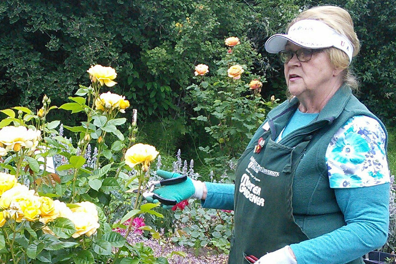 Master Gardeners offer guided walk with a focus on flowers