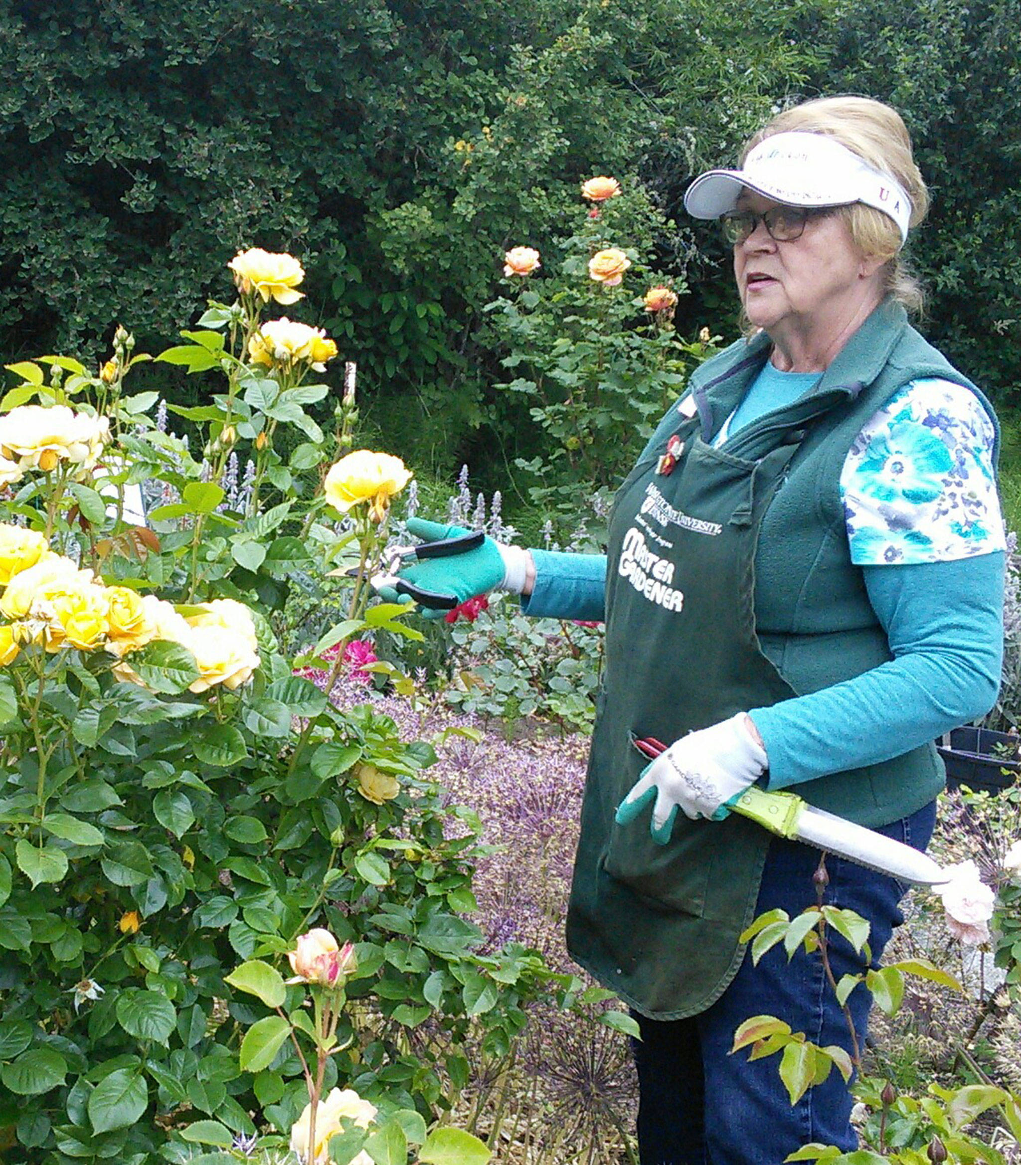 Master Gardener Sally Shunn demonstrates pruning and offers tips on caring for roses during a recent guided garden walk at the Woodcock Demonstration Garden