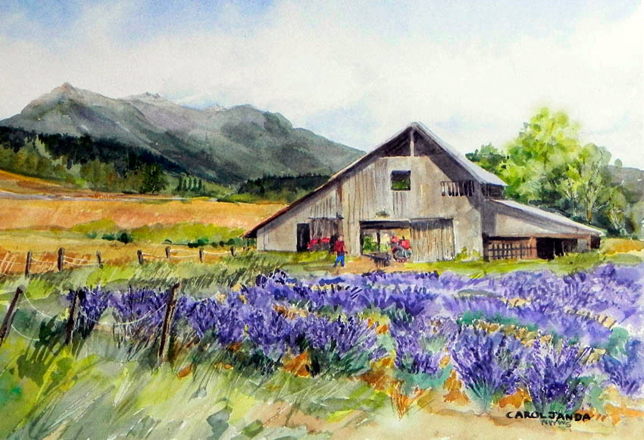 “Lavender Barn with an Olympic Mountain View” by Carol Janda will be on display at Blue Whole Gallery in Sequim tonight.