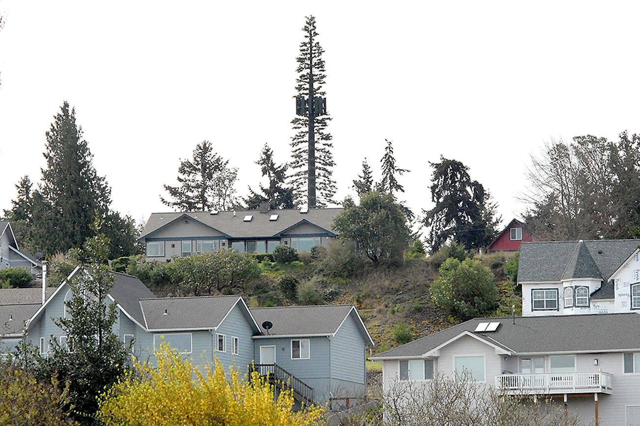 Clallam County to seek expert advice on cell towers
