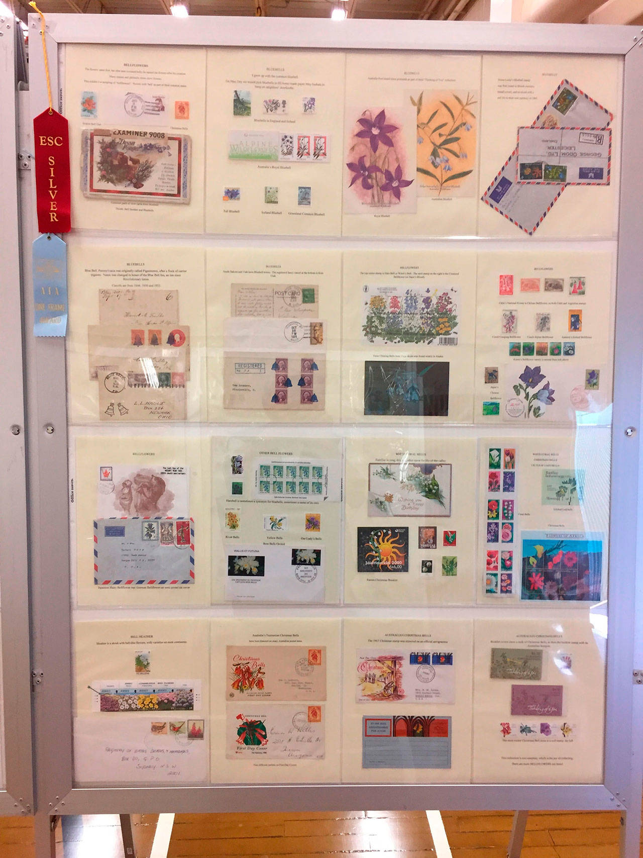 Cathie Osborne of Sequim won a silver ribbon and special award from the American Topical Association for the best single-frame Award at the Summer Exhibition of the Evergreen Stamp Show in Kent for her bellflowers stamp exhibit. (Dick McCammon)