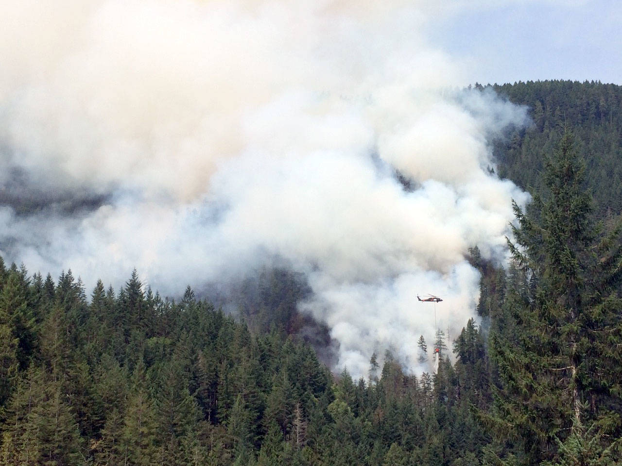 Smoke from the Maple Fire in Mason County billows out from the trees. (State Department of Natural Resources)