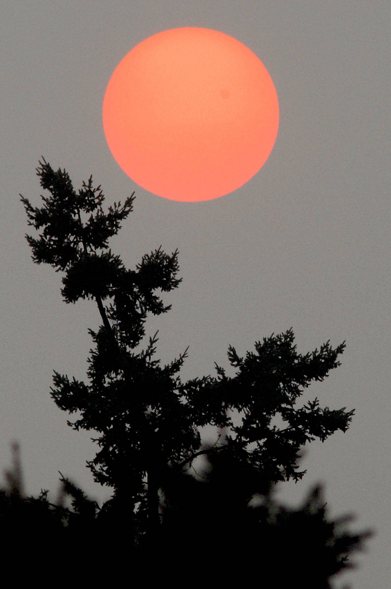 The sun sets Monday through a layer of smoke from wildfires in British Columbia that drifted south to create a layer of haze over the Olympic Peninsula. (Keith Thorpe/Peninsula Daily News)