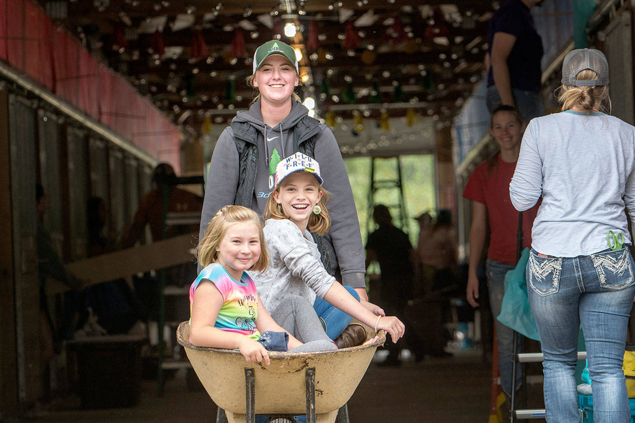 Kayli Graf, 17, pushes fellow 4-H’ers Isabella Huff, 8, center, and Sari Sawby-Smith, 10, in a wheelbarrow Sunday as they prepare stalls for the Clallam County Fair. (Jesse Major/Peninsula Daily News)