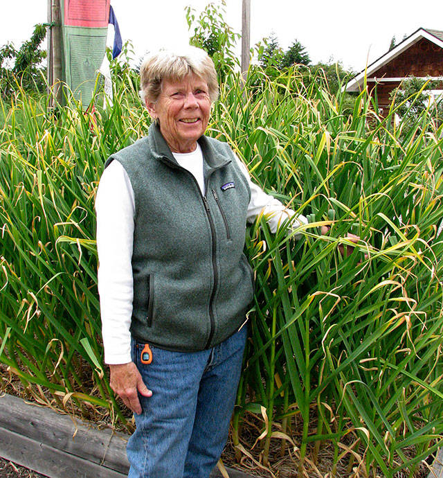 Pam Larsen presents Growing Great Organic Garlic on Thursday.