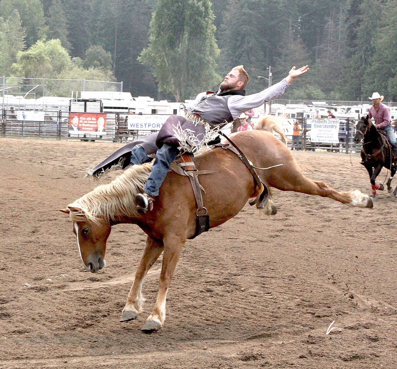 The last day of the Clallam County Fair, the rodeo competition concluded with bareback riding. Here, Kyle Bounds of Harrisburg, Ore. Oregon is given a wild ride by a horse named Capri. Bounds stayed on his horse for the required 8 seconds and finished second. First was Cole Snider, who won with a score of 80, taking home a purse of $984.96. Bounds, scored a 78 and won a purse of $722.30 Third place was Cole Appar with a score of 67 and a purse of $481.84. (Dave Logan/for Peninsula Daily News)