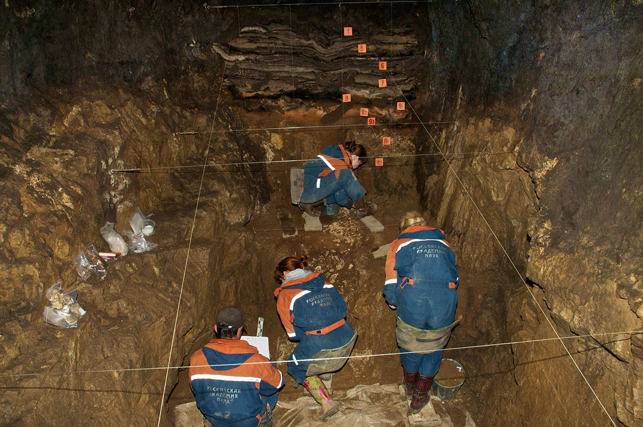 In this 2011 photo provided by Bence Viola of the University of Toronto, researchers excavate a cave for Denisovan fossils in the Altai Krai area of Russia. On Wednesday, Aug. 22, 2018, scientists reported in the journal Nature that they have found the remains of an ancient female whose mother was a Neanderthal and whose father belonged to another extinct group of human relatives known as Denisovans. (Bence Viola/Department of Anthropology - University of Toronto/Max Planck Institute for Evolutionary Anthropology via AP)