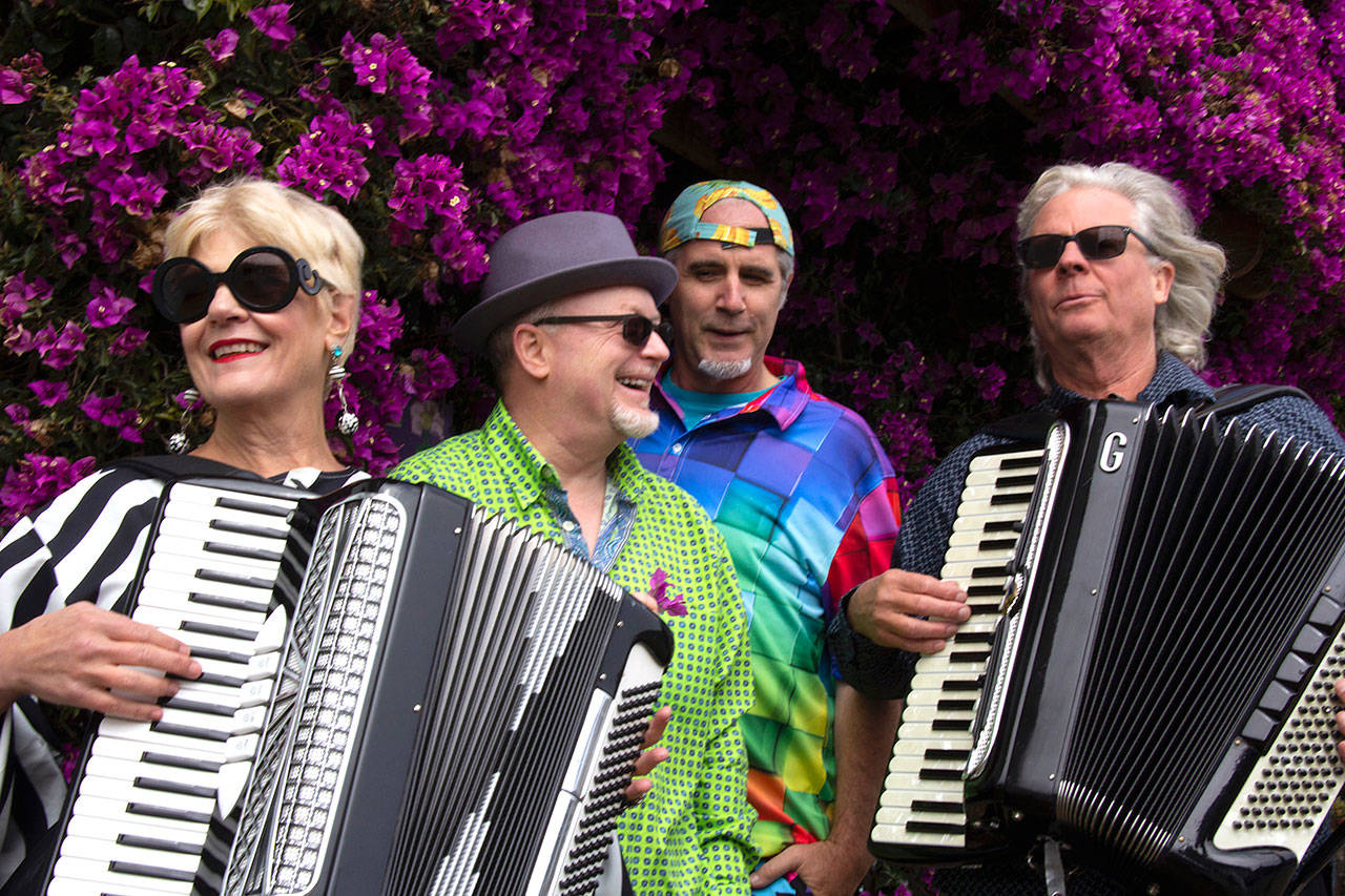 Those Darn Accordions, a band specializing in rock and reggae, is in the Deep Squeeze lineup this weekend. Playing the festival in Port Townsend and Chimacum are, from left, Suzanne Garramone, Lewis Wallace, Ian Luke and Paul Rogers.