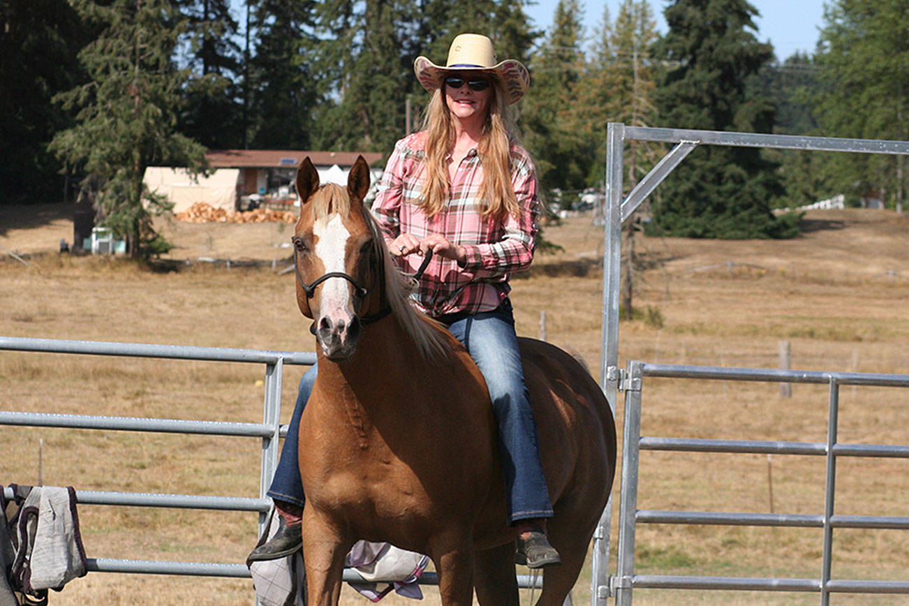 HORSEPLAY: Local farm owners now offer trailrides, lessons
