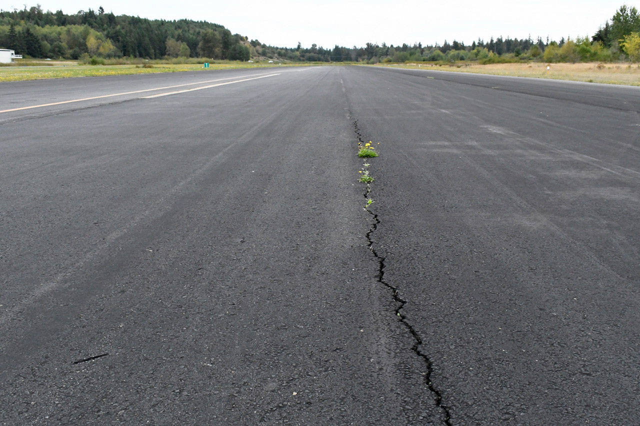 The Port Townsend/Jefferson County International Airport received a grant from the FAA to rehab its one runway. The project will create a crown runway that slopes on both sides to carry water from the surface to a newly designed stormwater system. (Jeannie McMacken/ Peninsula Daily News)