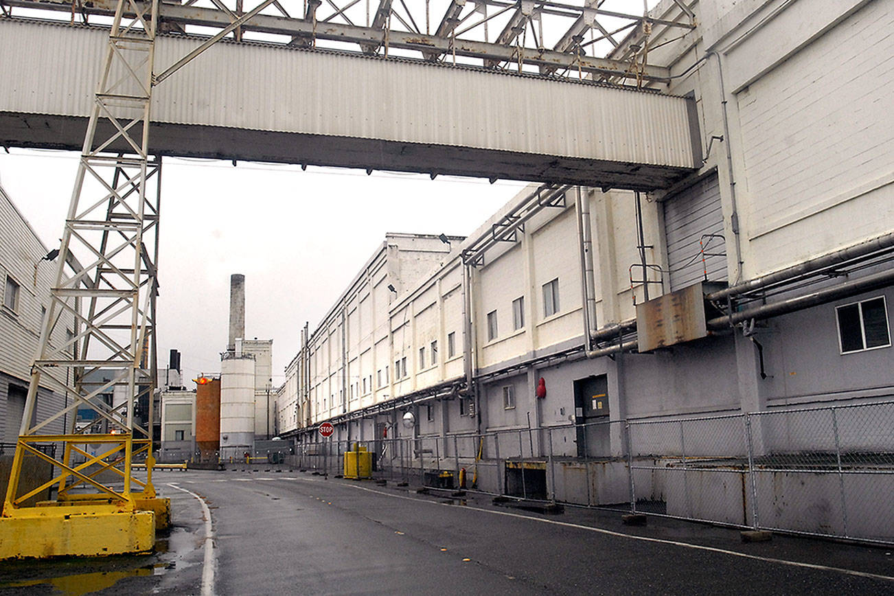 McKinley Paper plans to start production in September 2019 at Port Angeles mill