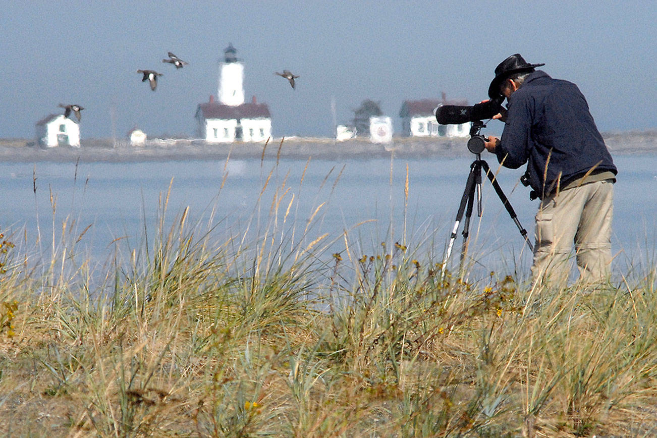PHOTO: Birding on Dungeness Bay