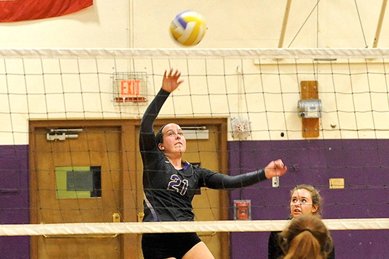 PREP ROUNDUP: Wolves volleyball takes Bulldogs in five