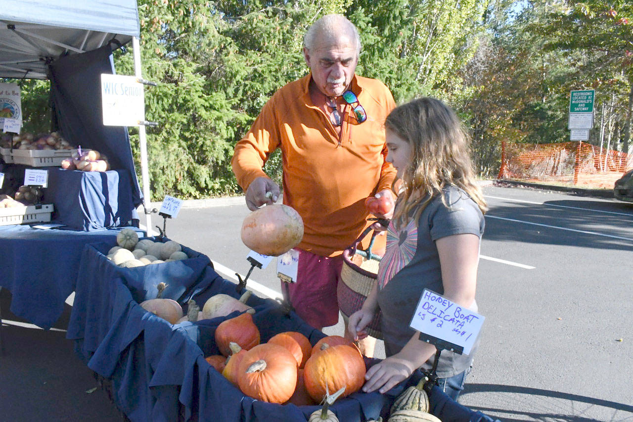 Laila Garrison, 8, and her grandfather Vern Garrison, decide on which Kuri squash to take home from the Wednesday market. Laila said she liked the market very much and was hoping for a pumpkin. She plans to find one at the Saturday market in a few weeks. (Jeannie McMacken/Peninsula Daily News)