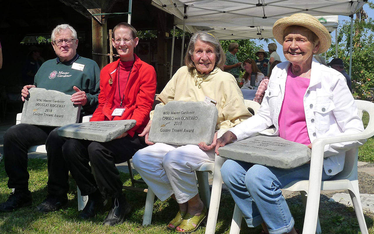 From left, WSU Clallam County Master Gardeners Douglas Ridgeway, Beanie Gersbach, Chrilo von Gontard and Gretchen Glenny receive the lifetime achievement Golden Trowel Award on Aug. 28 at the Master Gardener Demonstration Garden. (Marilynn Elliott)