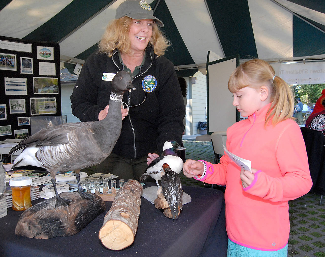 Eight-year-old Makenzi Seimer, a third-grade student at Greywolf Elementary School, examines a display of stuffed water fowl with Shelly Ament, a wildlife biologist with the state Department of Fish and Wildlife at Ament’s display at Friday’s Dungeness River Festival at Railroad Bridge Park in Sequim. (Keith Thorpe/Peninsula Daily News)