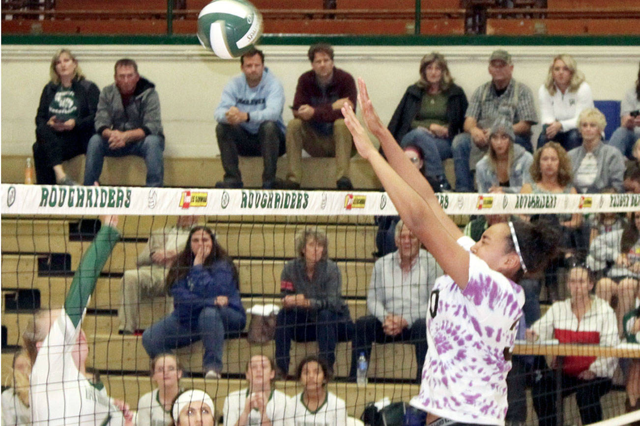 PREP ROUNDUP: Sequim volleyball keeps rolling